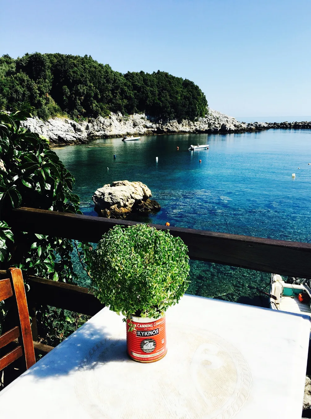 Η Περιοχή - Hotel Damouchari Pelion